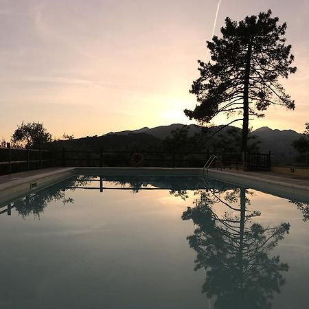 Agriturismo Il Pino San Martino in Freddana 외부 사진