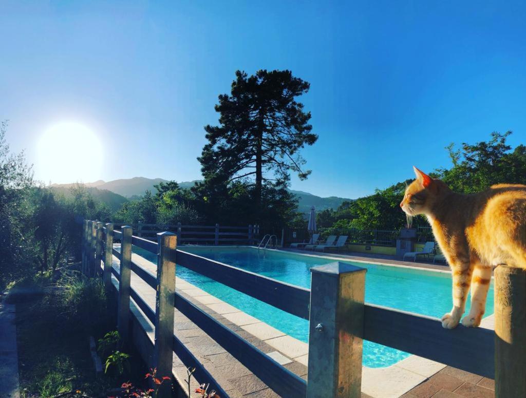Agriturismo Il Pino San Martino in Freddana 외부 사진