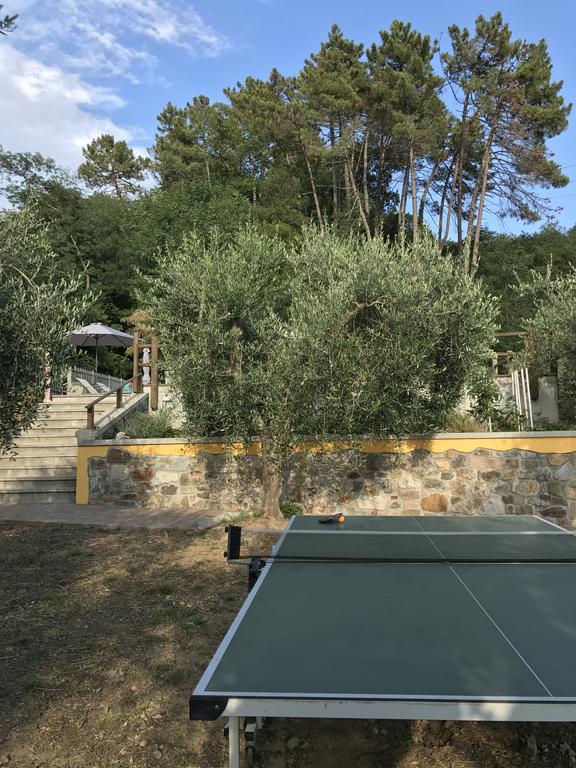 Agriturismo Il Pino San Martino in Freddana 외부 사진