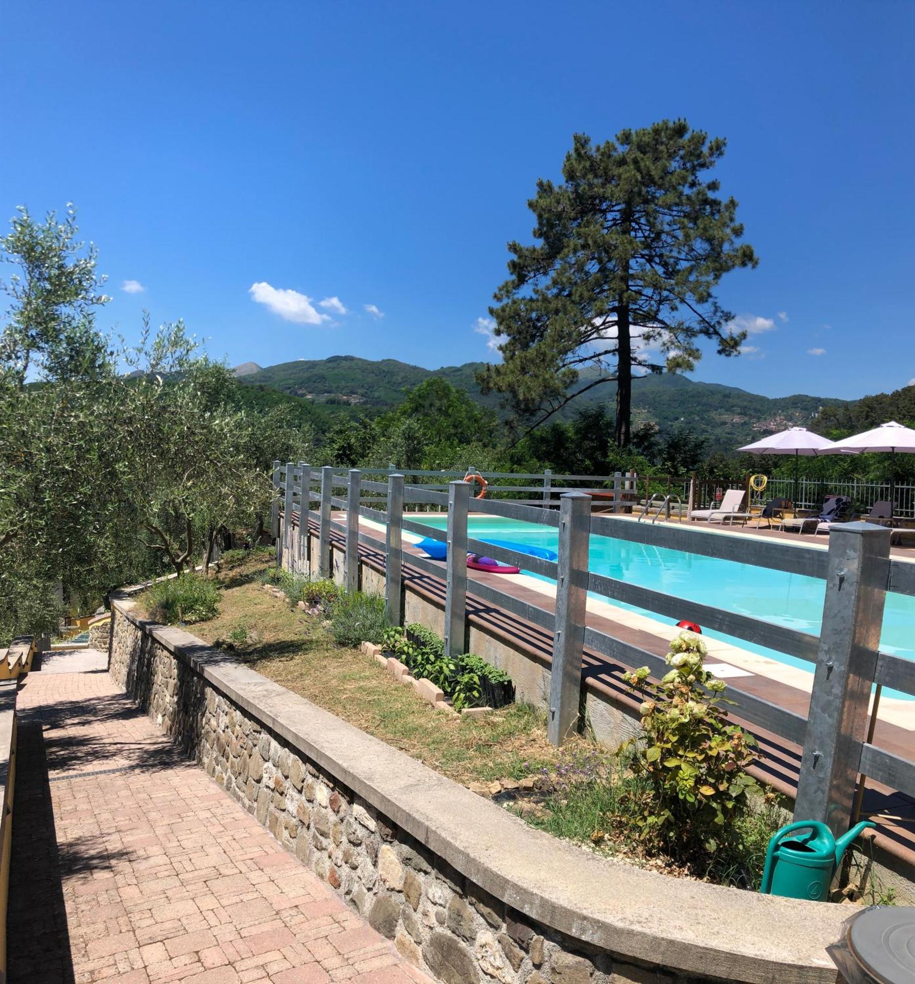 Agriturismo Il Pino San Martino in Freddana 외부 사진